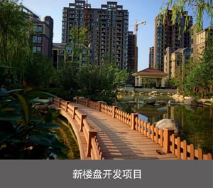 两柱立体车库新楼盘开发项目