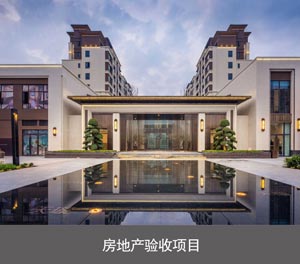 两柱立体车库房地产验收项目